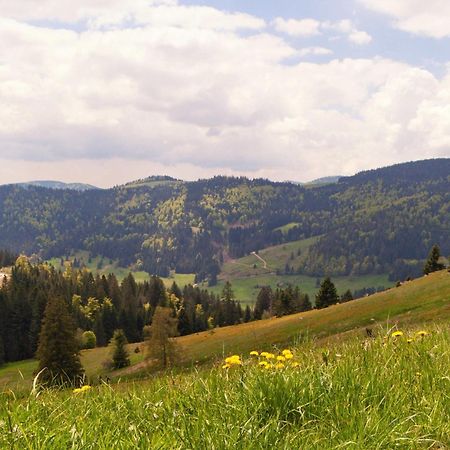 Relaxapartments Black Forest Moments - Maisonette-Wohnung Mit Sonnenbalkon, Schnelles Internet, Naehe Triberger Wasserfaelle, Fuer Bis Zu 4 Personen Schönwalde Εξωτερικό φωτογραφία